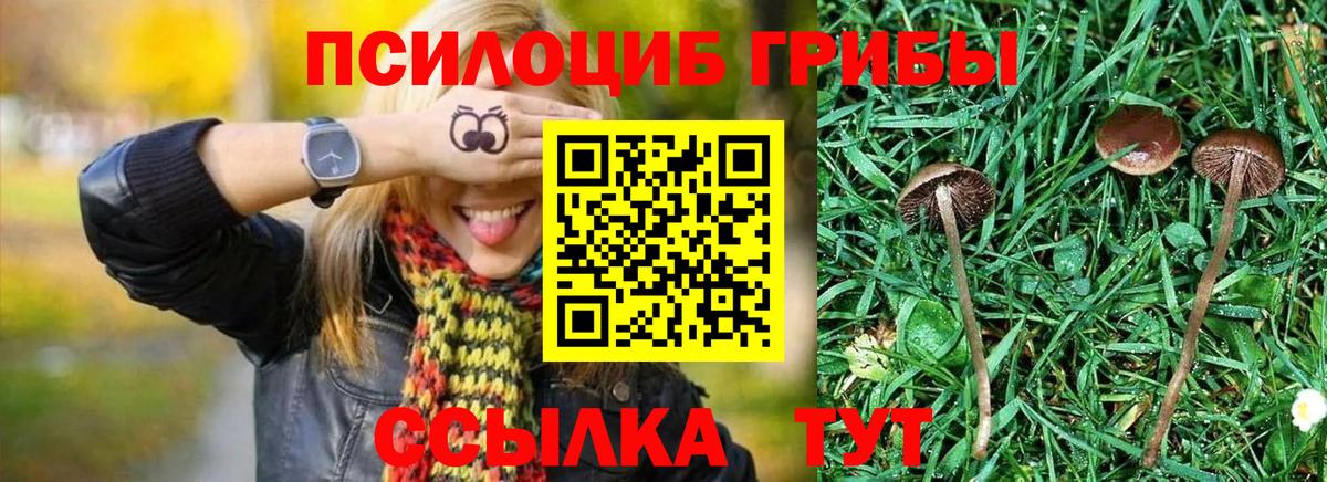 Гашиш  Вход с VPN  Вязьма  Мефедрон кристаллы  Канабис 