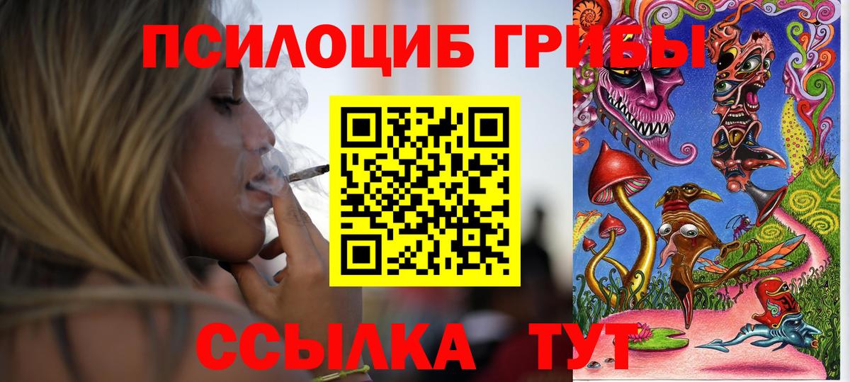 Псилоцибиновые грибы Psilocybine cubensis Вязьма