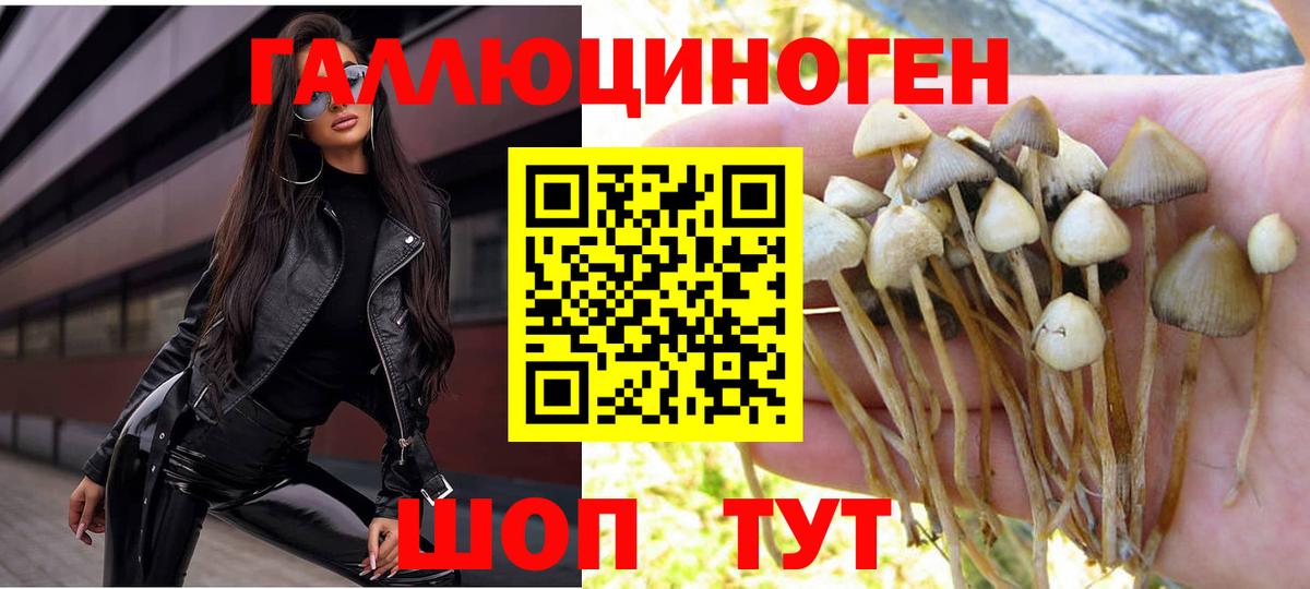 Галлюциногенные грибы прущие грибы  Вход с VPN  Вязьма 
